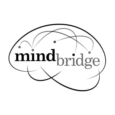 mindbridge-mono.jpg